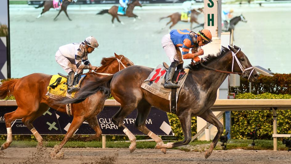 2023 Kentucky Derby, Florida Derby, Forte, Mage, Churchill Downs, Gulfstream Park