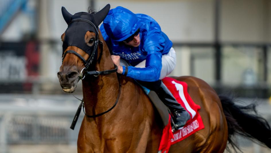 Master of the Seas, 2023 Ricoh Woodbine Mile, 2023 Fanduel Breeders Cup Mile, Charles Appleby, William Buick