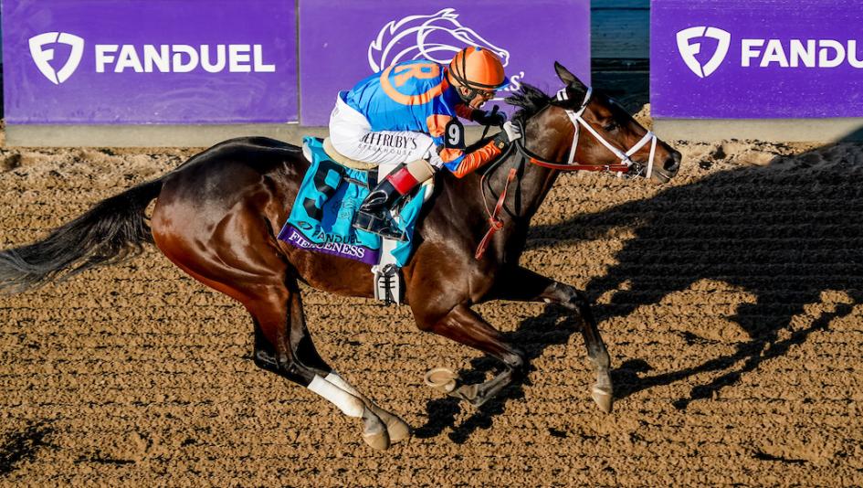 2024 Breeders' Cup Classic, Fierceness
