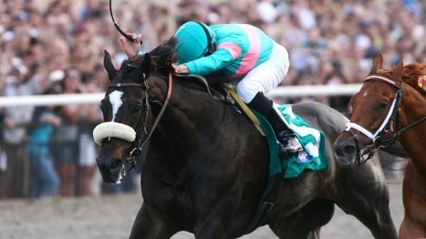 Road to the Breeders’ Cup: Sneak Peek at Whitney, Clement Hirsch, and ...