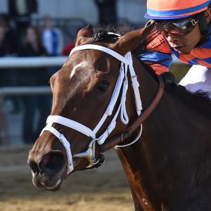 Repole Stable | America's Best Racing
