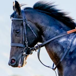 Starlust (GB)