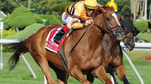 Wise Dan winning the 2013 Fourstardave Handicap