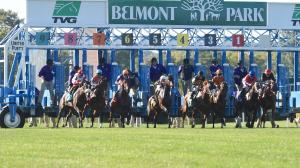 Belmont Park Pennine Ridge Stakes Silver Knott Far Bridge Kalik
