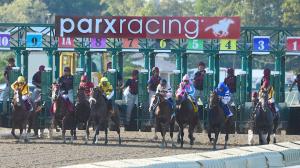 Cotillion Stakes, Parx Racing, Pretty Mischievous, Ceiling Crusher