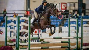 Big Fame, Angela Carmitchel, Thoroughbred Makeover and National Symposium, Thoroughbred Charities of America, Erin Gilmore Photography