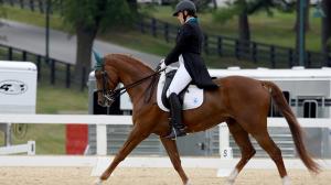 Thoroughbred Incentive Program Jockey Club T.I.P. aftercare retired racehorses competition Kristen Werner OTTBs training jumper low hunter dressage western obstacle pleasure ranch equestrian Stable View Aiken