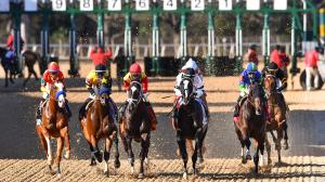 Rebel Stakes Oaklawn Park Kentucky Derby horse racing American Pharoah Thoroughbred Timberlake Northern Flame Just Steel pace closers trainers prep Long Range Toddy