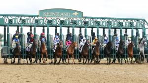 Blue Grass Stakes, Keeneland, Kentucky Derby, Tapit Trice, Blazing Sevens, Classic Car Wash, Hayes Strike, Major Blue, Mendelssohns March, Raise Cain, Sun Thunder, Tapit Trice, Verifying, Scoobie Quando, Clear the Air
