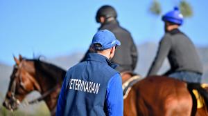 NTRA, HISA, Tom Rooney