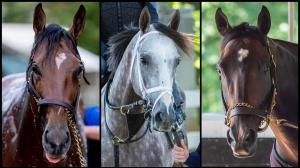 2023 Belmont Stakes Belmont Park Triple Crown National Treasure Tapit Trice Forte