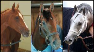 Kentucky Derby Churchill Downs Triple Crown Derma Sotogake Angel of Empire Tapit Trice