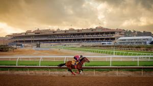 Forever Young, Longines Breeders' Cup Classic, Del Mar, Kentucky Derby, Eclipse Sportswire