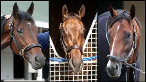 Fierceness, Thorpedo Anna, Dornoch, Saratoga Race Course, Travers Stakes, Coady Media, Eclipse Sportswire