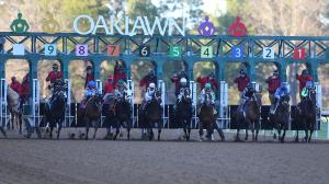 Derby Dozen Byron King BloodHorse Kentucky Derby Born Noble Hall of Fame Catching Freedom Dornoch Sierra Leone Track Phantom Nash Fierceness Timberlake Honor Marie Forever Young Locked Holy Bull Southwest Withers Robert B. Lewis