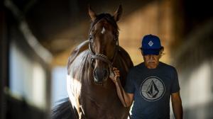 A Half-Dozen Fun Facts About Unbeaten Racehorse Flightline’s Personality