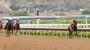 Tamara, Del Mar Debutante, Del Mar, Alex Evers, Eclipse Sportswire