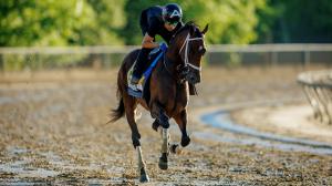 Preakness Stakes, Catching Freedom, Pimlico, Triple Crown, Eclipse Sportswire