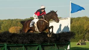 Middleburg Spring Races Temple Gwathmey hurdle stakes