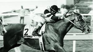 Affirmed wins the 1979 Hollywood Gold Cup.