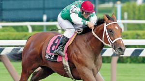 Afleet Alex and jockey Jeremy Rose win the 2004 Sanford Stakes, their first of many graded stakes wins.