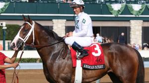 Grade 1 winner American Patriot is one of the most successful patriotically-named racehorses.