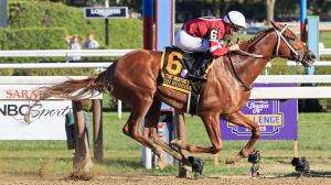 Gun Runner, Whitney Stakes, Saratoga race Course, Eclipse Sportswire