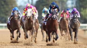 Derby Dozen Kentucky Derby BloodHorse Byron King horse racing Skinner Verifying Mage Confidence Game Kingsbarns Derma Sotogake Verifying Two Phil’s Practical Move Angel of Empire Tapit Trice Forte horse racing