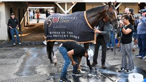Mystik Dan, Kentucky Derby, Churchill Downs, Ken McPeek, Preakness, Brian Hernandez Jr., BloodHorse, Skip Dickstein