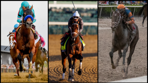 Belmont Stakes Cheat Sheet Belmont Park Triple Crown horse racing Tapit Trice Tapit Shoes Red Route One Raise Cain Prove Worthy National Treasure Il Miracolo Hit Show Forte Arcangelo Angel of Empire Kentucky Derby Preakness 