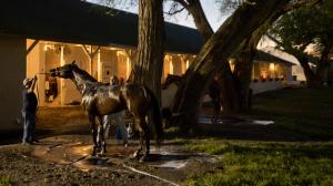 Kentucky Derby Dozen Forte Byron King BloodHorse Tapit Trice Brad Cox Angel of Empire Two Phil’s Verifying Derma Sotogake Jace’s Road Kingsbarns Disarm Confidence Game Mage Javier Castellano Flavien Prat Hit Show Rocket Can Skinner John Shirreffs horse ra