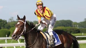 In addition to his three Kentucky Derby wins, Calvin Borel was the regular rider of legendary Rachel Alexandra.