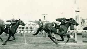 Venezuelan import Canonero, nicknamed the Caracas Cannonball, wins the 1971 Preakness Stakes.