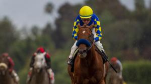 Charlatan will race in the first division of the Arkansas Derby this Saturday at Oaklawn Park.