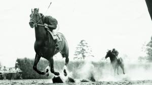 Citation wins the 1948 Belmont Stakes to sweep the Triple Crown.