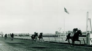 Coaltown Calumet Farm Horse of the Year Hall of Fame Citation horse racing