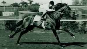 ‘The Big Cat’: Cougar II an Unheralded Chilean-Bred Superstar of the 1970s