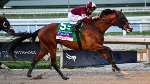 Dornoch, Coolmore Fountain of Youth, Belmont Stakes Presented by NYRA Bets, Saratoga Race Course, Eclipse Sportswire