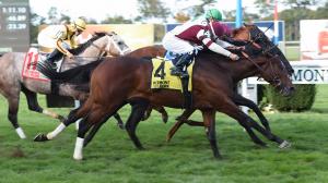 What Is Meant To Be Will Be