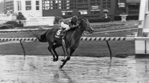 Davona Dale, 1979 Kentucky Oaks, Jorge Velasquez, Calumet Farm, John Veitch, BloodHorse Library, Milt Toby
