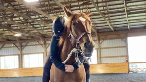 Thoroughbred Makeover Diary: Playing the Waiting Game