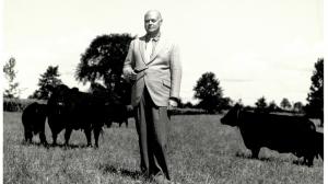E. P. Taylor is regarded as one of the greatest Thoroughbred breeders of all time in North America.