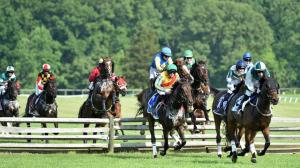 Five Reasons to Attend the 85th Fair Hill Races