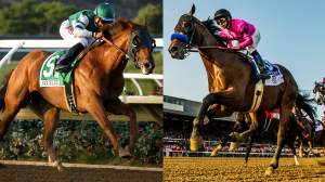 Five Questions to be Answered in 2018 Awesome Again Stakes