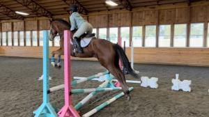 Morgan Hayden Retired Racehorse Project Thoroughbred Makeover Goldie’s Boy 