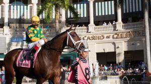 Your Guide to Visiting Gulfstream Park, a Horse Track-Shopping Mall Hybrid