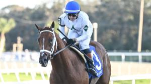 Flavien Prat, John Hancock, Sam F. Davis Stakes, Tampa Bay Downs, Kentucky Derby, Triple Crown, America's Best Racing, horse racing, ABR