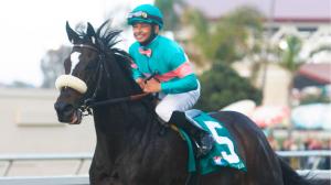 Rachel Alexandra, Zenyatta Among Four Named to Hall of Fame