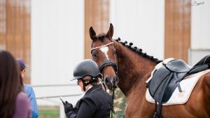 Thoroughbred Makeover, Real Grace, Lindsay Turcotte, Jess Mayfield Photography