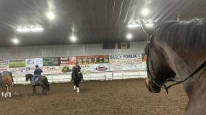 Lindsay Turcotte, Grayson, Real Grace, polocrosse, Retired Racehorse Project, Thoroughbred Makeover